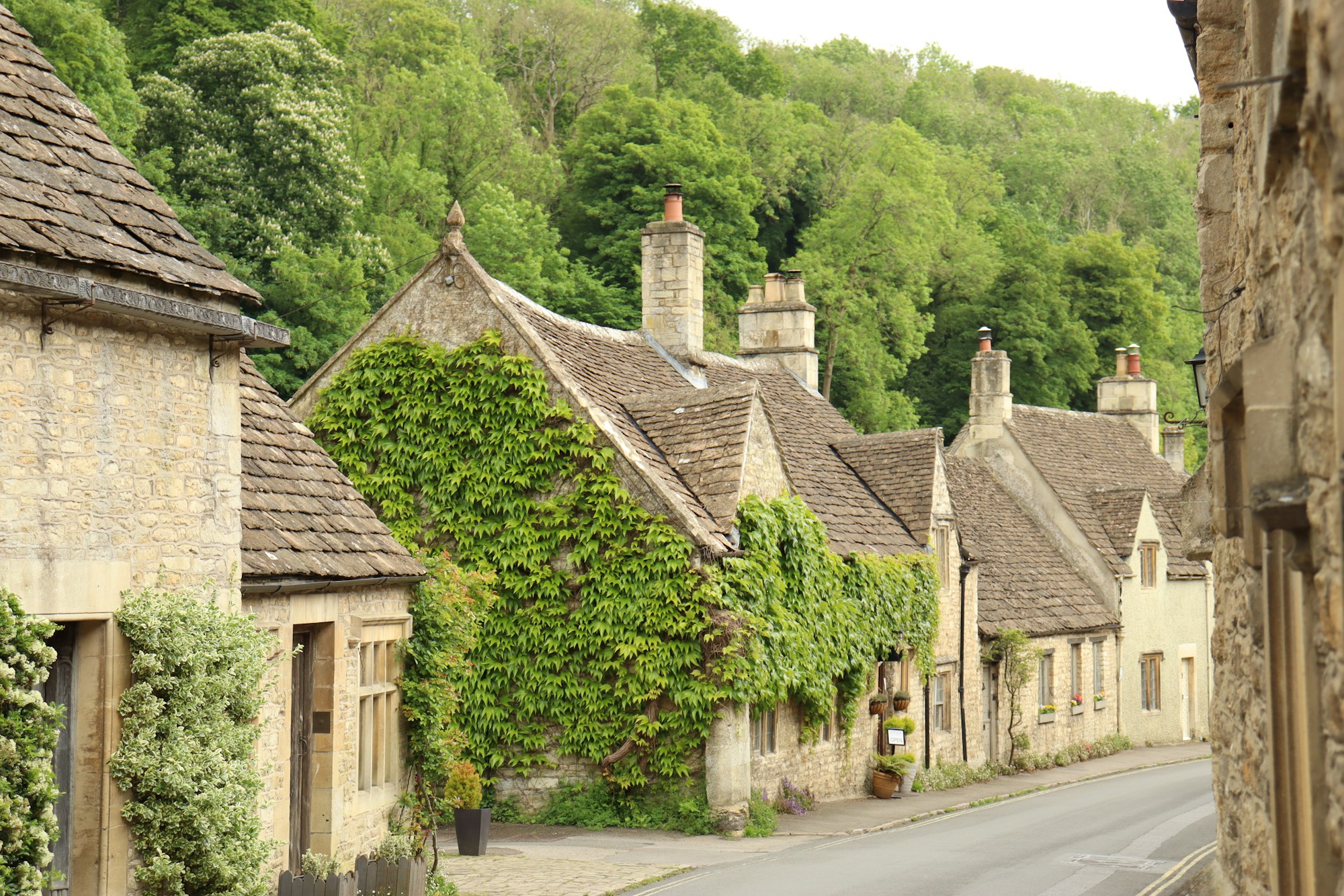 Heritage row of houses with ivy in a Cotswold town